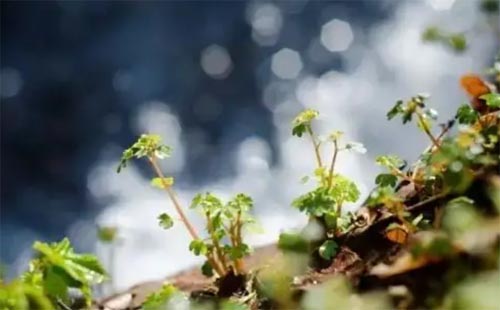 ���`����