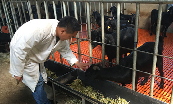 ��ʯ�p��ץÓؚ ���µ����·