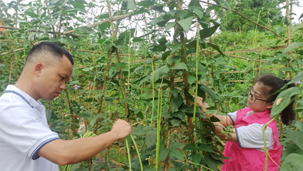 ���R�����������������l