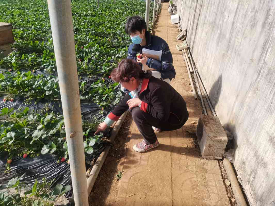 ��(chu��ng)�˾��˘I(y��)���r(n��ng)�壬�����B(t��i)�����f(w��n)�ɺ�