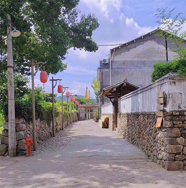 ���Ğ������������d