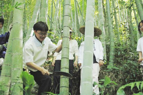 �����r�ִ�W�����l��ָ����z�����Ă���