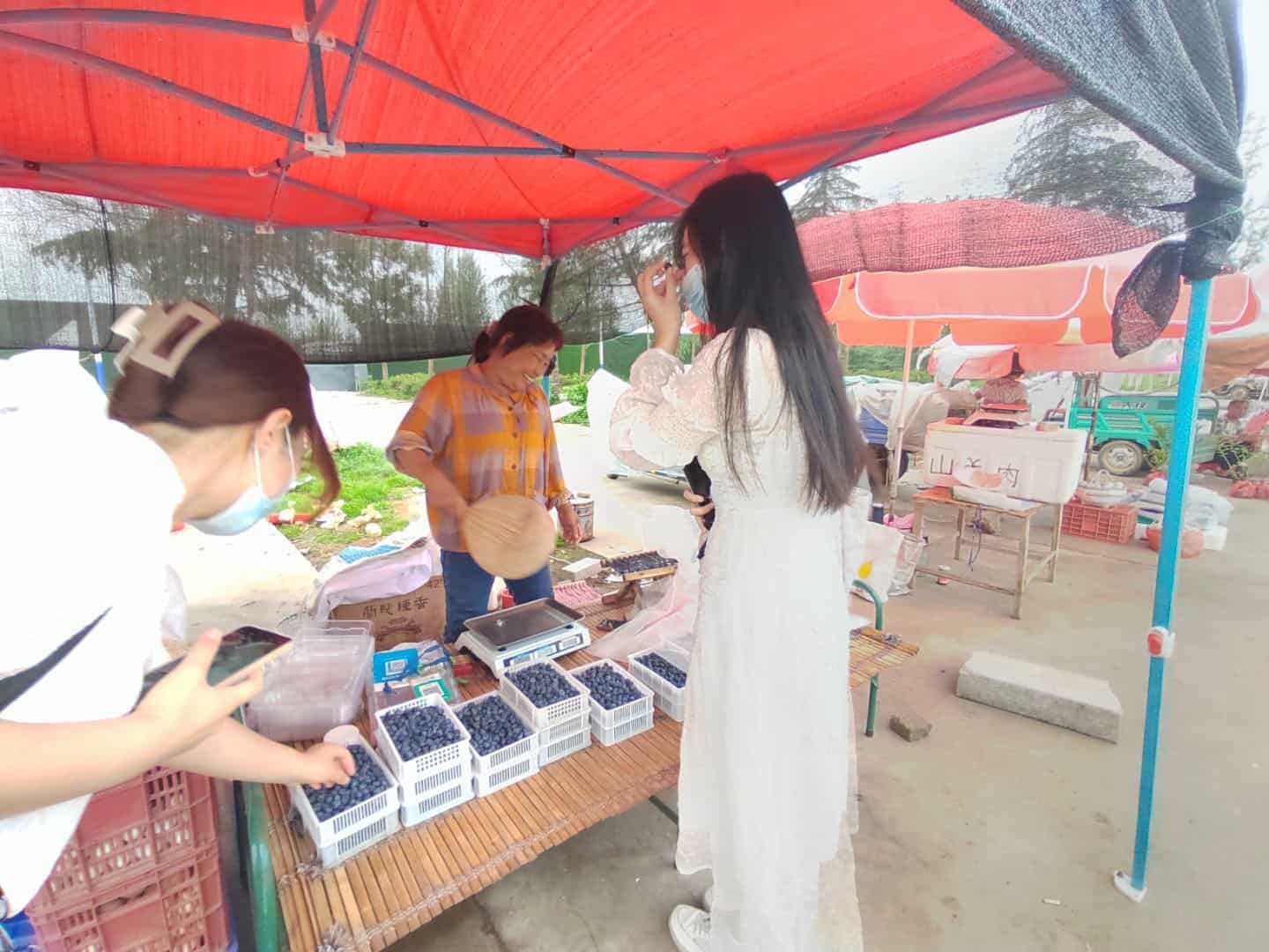 �����a(ch��n)�W(xu��)�С��������ЌW(xu��)��ɫ·��