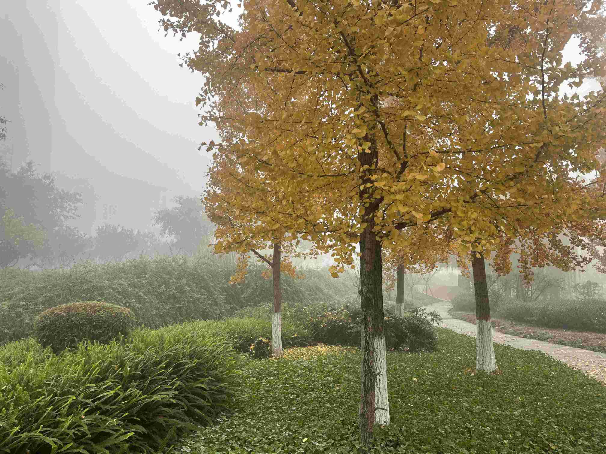 �M(m��n)��ζ�٣��䌍(sh��)��������ʯ�ʹ�W(xu��)�Ķ���