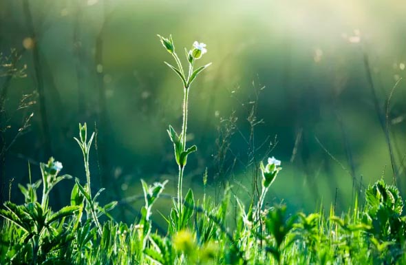 Ц�����´��L