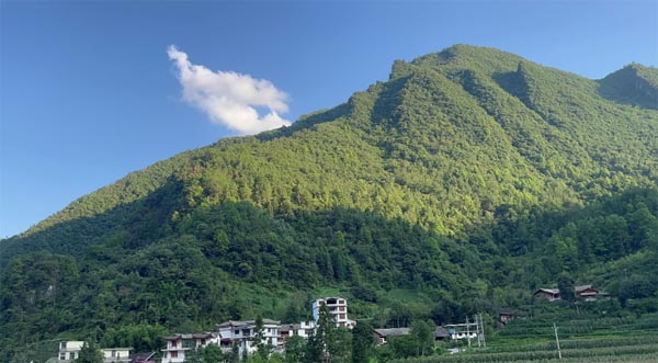 �x���l��D���^���P�۴�ɽ���؃�ͯ