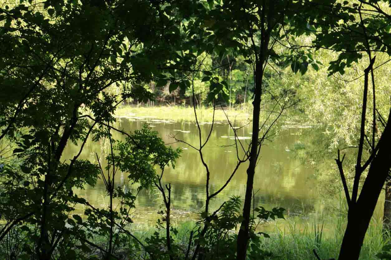 Ȥ�ϝ�أ����ҡ���(��i)��Ȼ