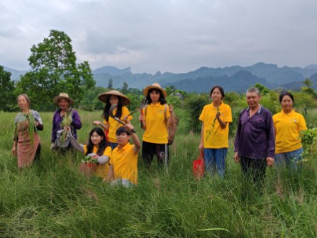 �ഺ����ꖣ��ؑc�����I�WԺ�l�����d���V��Ӌ�����F�|����l���������Wҫ�ഺ����