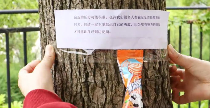 �����F�ݎ�����WУ�@���С��ů