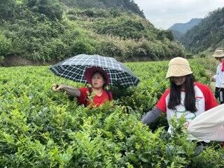 ����ݮ���㣬���̝�(r��n)����