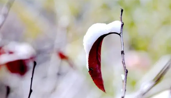 �����Ĺ��@