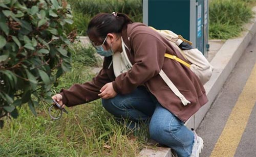 ����ɽ������֮��