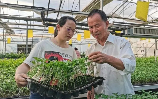 ѩ���ԭ�����ҵ��ഺ����