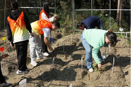 ���»���  ���аlչ