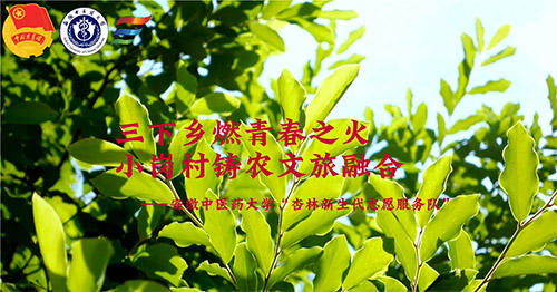 �����lȼ�ഺ֮��С�����T�r�����ں�