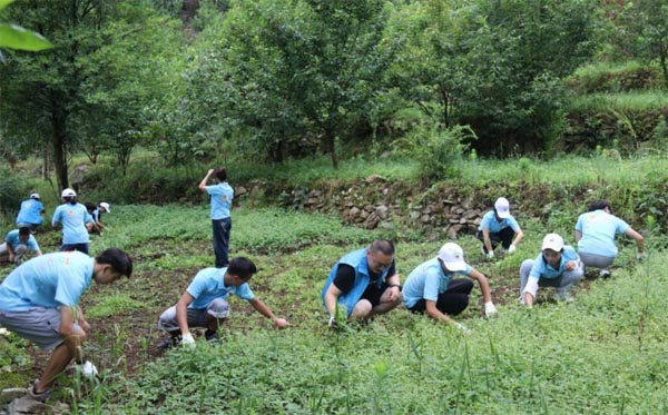 �S�����݌��` �w��ڄ�����