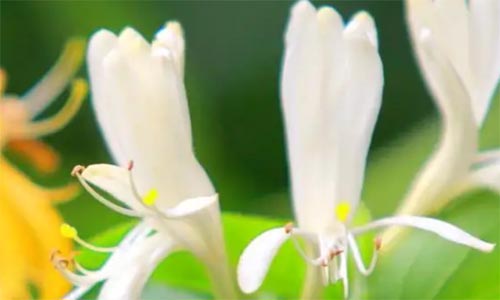 �ԟ��靲���I֮��