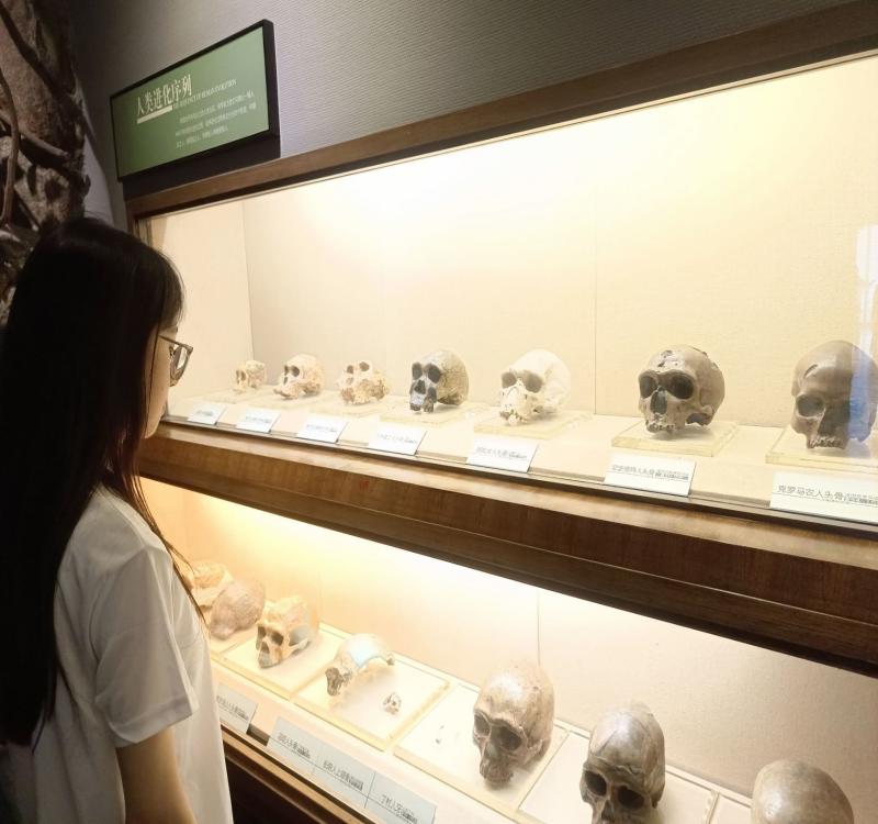 �����^���h�����