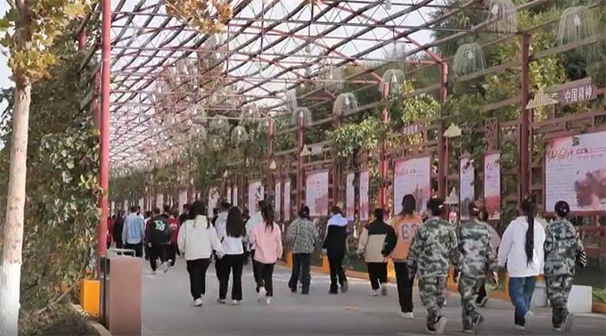 �����ڕ���������һ����һ����ɽ��