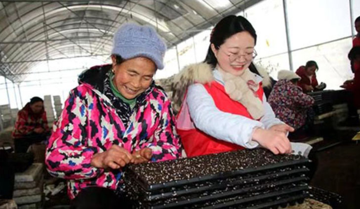 �ഺ���`�����h��