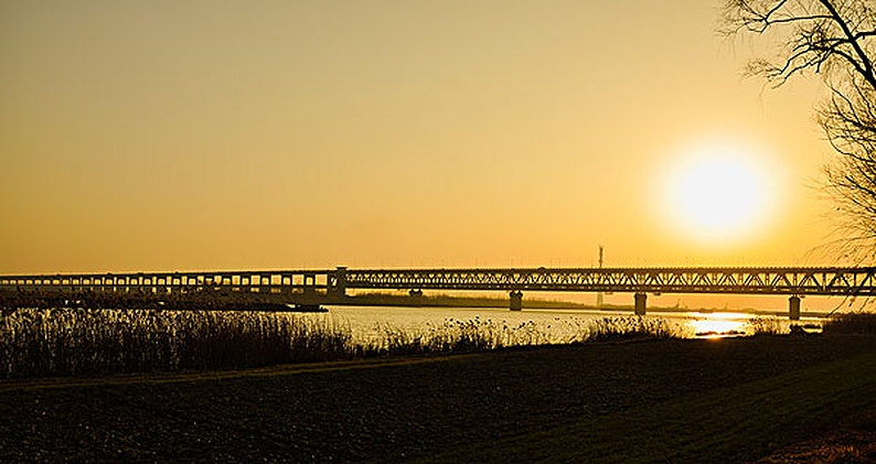 ����������ӛʹ���L���ǽ���һ�w���lչ�����{�Ќ��`���