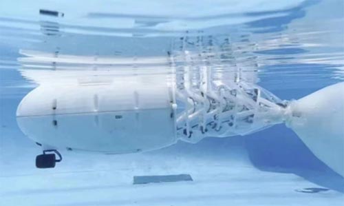 �F�ݴ�W�ڵ�ʮ��ȫ����W���Cе�����OӋ��ِ��ϲ�@�ѿ�