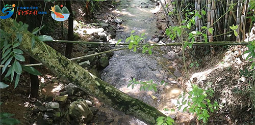 �A�ώ�����Wн���l�����`�F�������Ҵ�ɽȪ�~Ʒ���ƏV