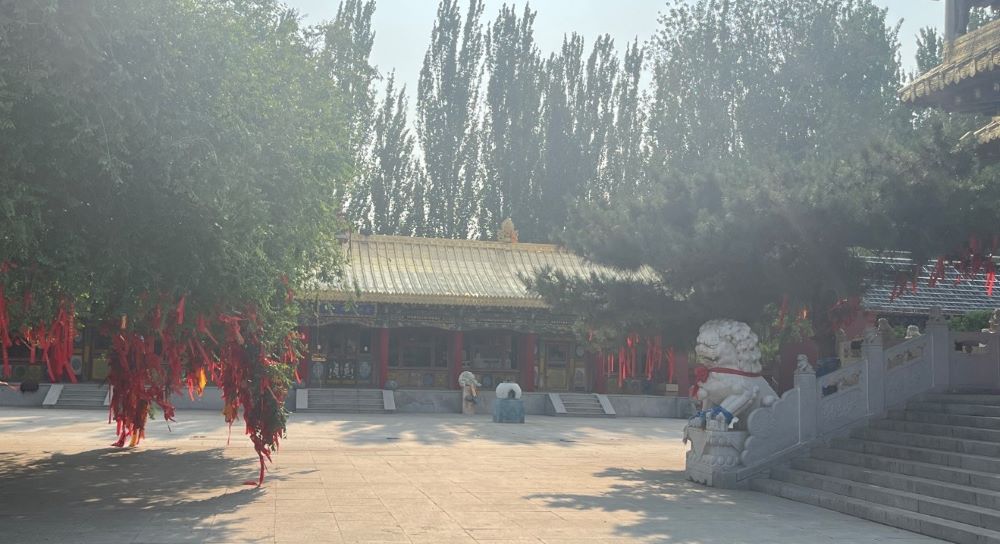 ���ϳǽ��WԺ�������M�ϝ���患�̽���Ž���Ⱥ���o�c�_�l֮·