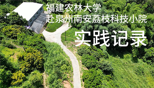 �ഺ�x�܈A�Gɫ��Ұ�����Ƽ��d�r�L���`��ƪ��