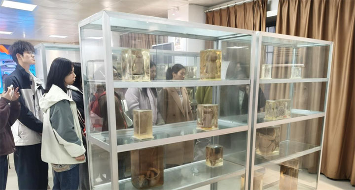 ̽���������ã��������`֮�s���������Ƽ��WԺ�_չ�����������