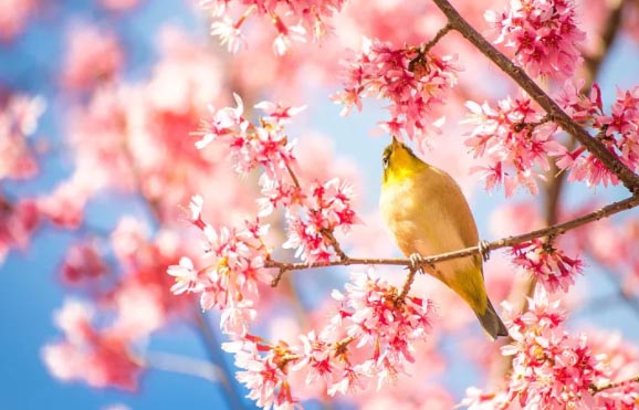 �����ζ�������V