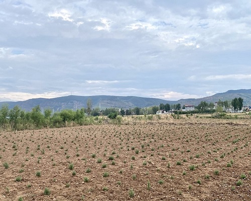 �ӹ���W��ѭ���㡱�����������Ե���Nֲ���،��`����