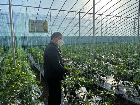 �ƄӾGɫȫ�a�I��γ� �����l�彛�����|���lչ