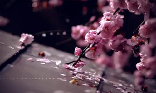 ˮ܇(ch��)�ϵĶU