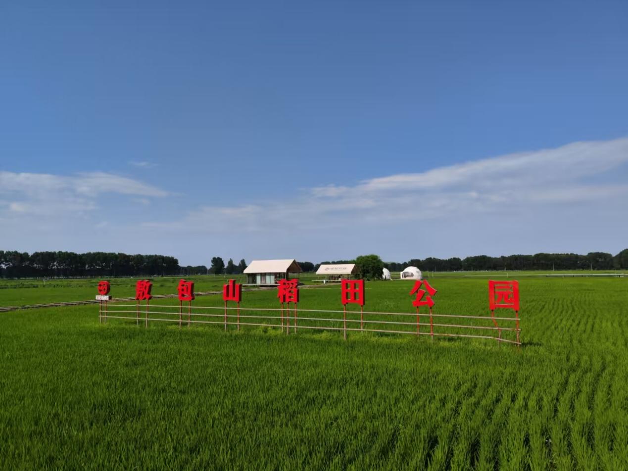 �y�ֹ����Ї���