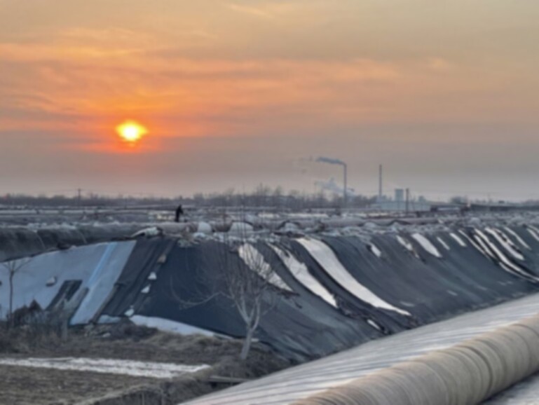 �߲˷N��������Ƽ��x��չ�¾�