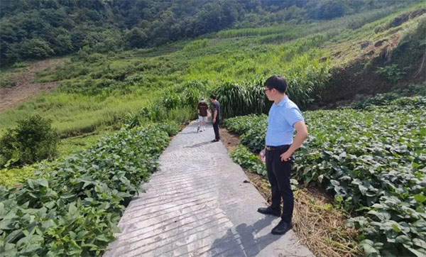 �����Ҋ�Cɽ�gС��׃���a�I����·