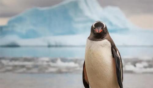 ���Z���ǻ���