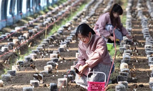 �����^��M����W����������һ��ֵ���ƏV�ćLԇ