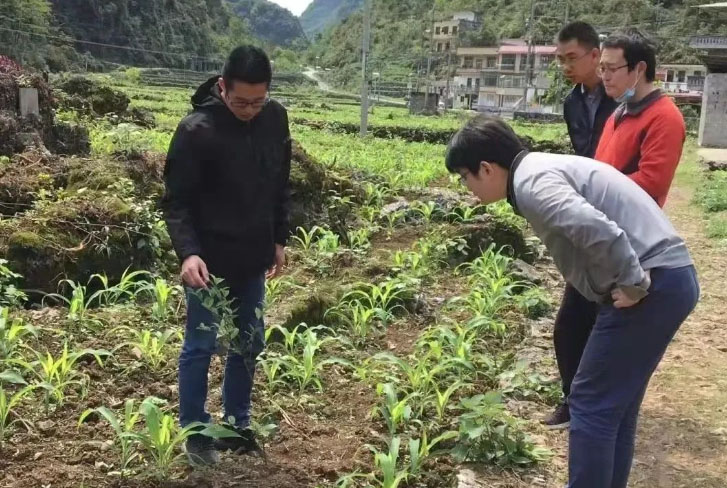 �����V�������l���ҵ�����֮��