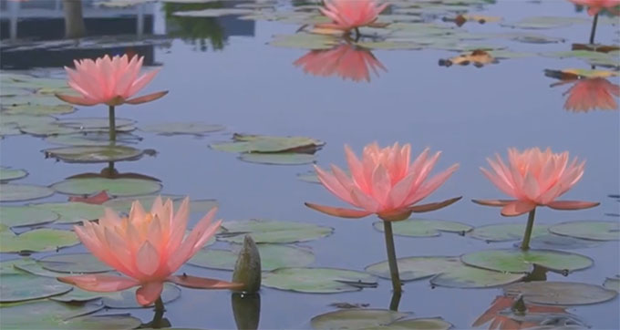 У�T�ڵ�˯ɏ׌�Ĵ����ՌWԺ׃������������