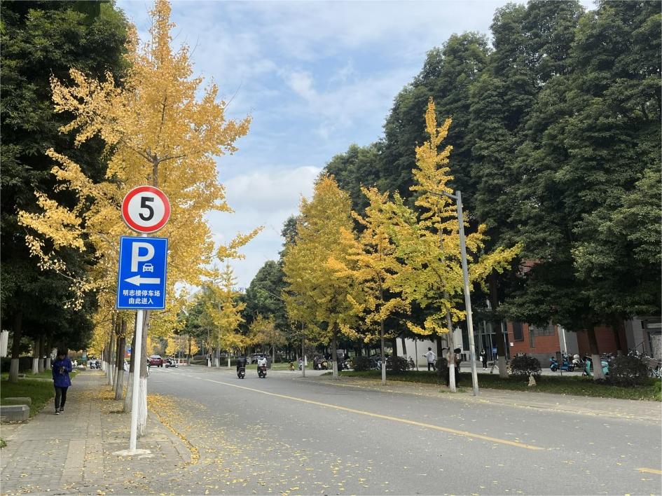 ���Ռ���������ʯ�ʹ�W(xu��)����