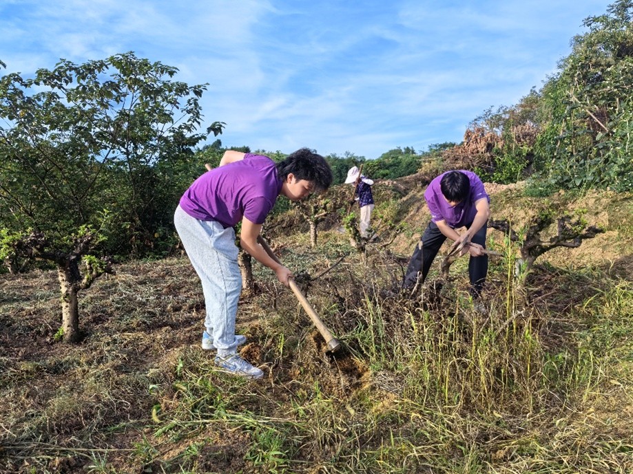 �ؑc��ͨ��W �������l������ƺ�д���@�� ���z�� ���ഺ��