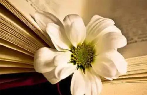 �����Ƿ��Ą�(d��ng)