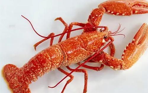 ���r��(f��)��