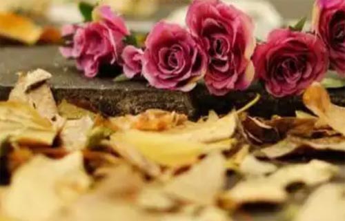 ��Ĭ�Ĝ���