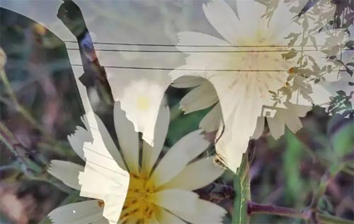 ��һ���Ą�