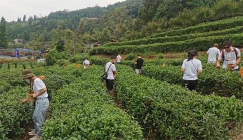 �۰��_��W�������ЌW�Ĵ�֮�ÈA�M��Ļ