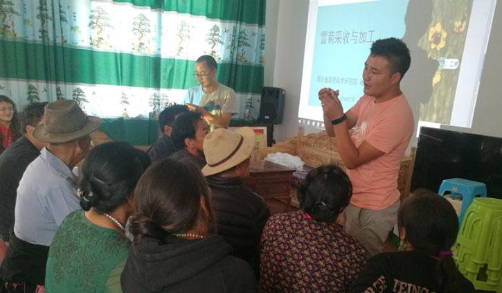 ��(ji��n)�ظ�ԭ���d ����ɽ��Óؚ