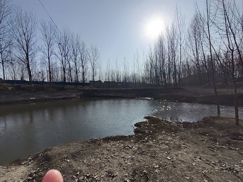 �D����狹�Ĕz�����֧��